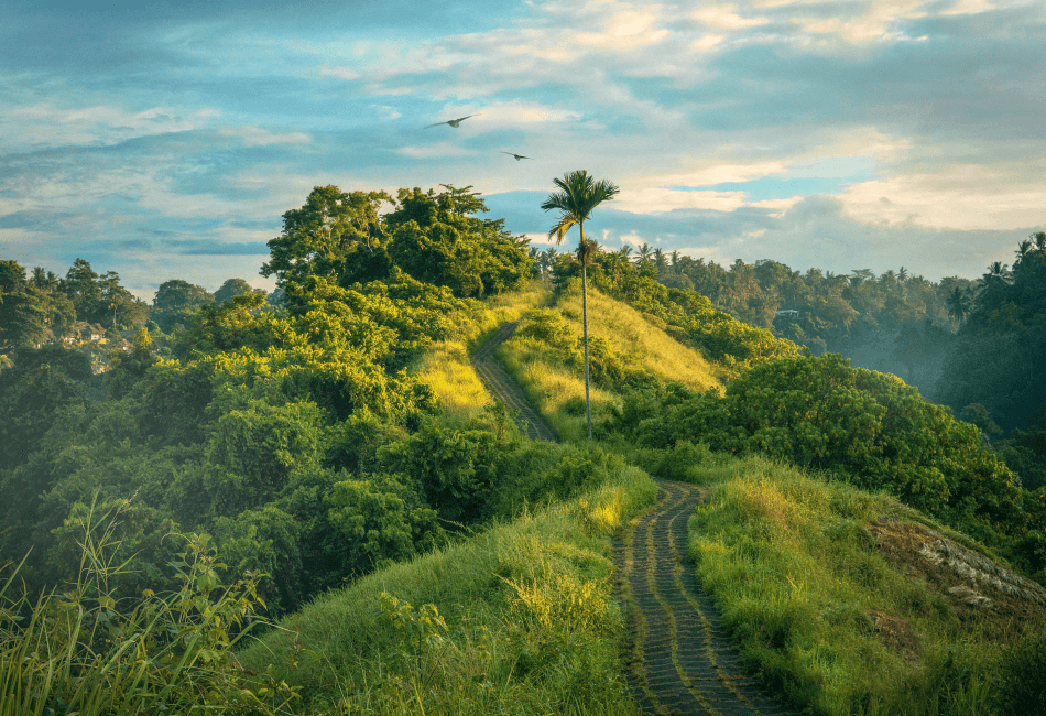 Top of Europe Exclusive Tour 